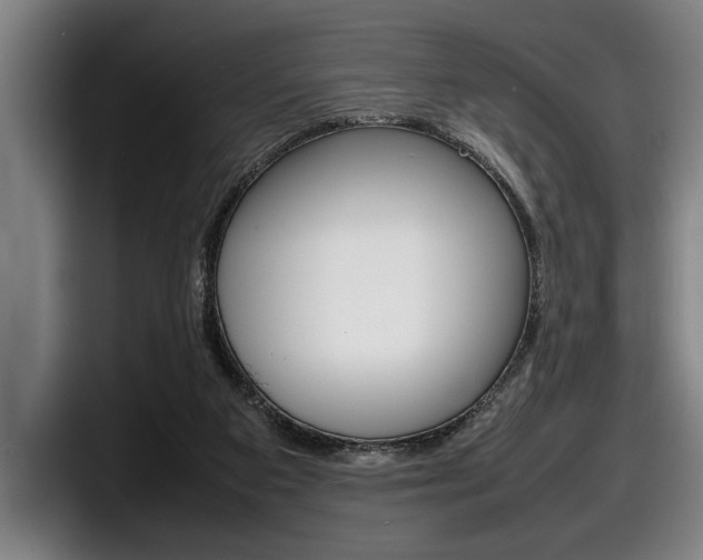 X0000098160113200804171226