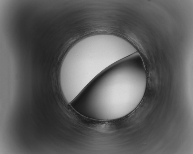 X0000098160116200804171226