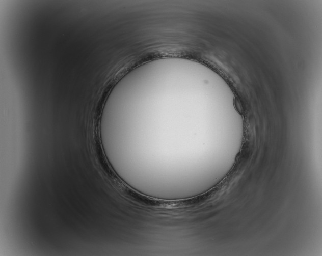 X0000098160117200804171226