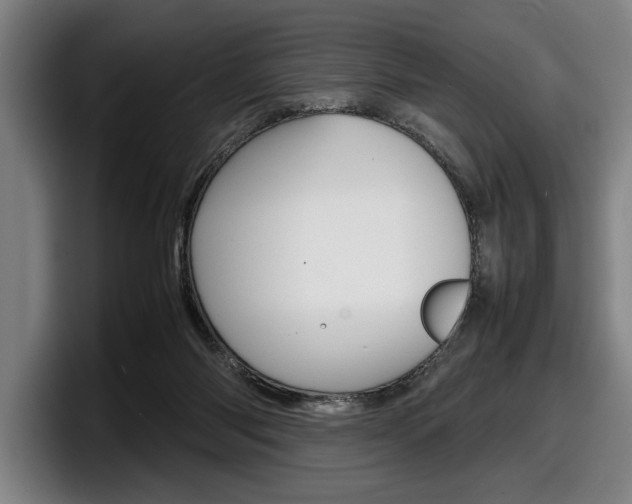 X0000098160118200804171226