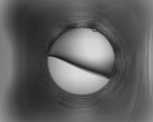 X0000098160123200804171226
