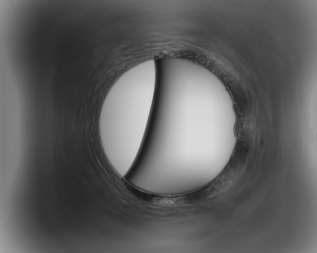 X0000098160129200804171226