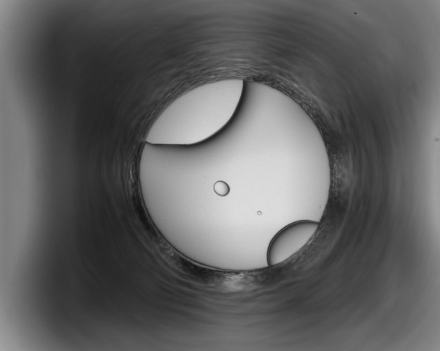 X0000098160130200804171226