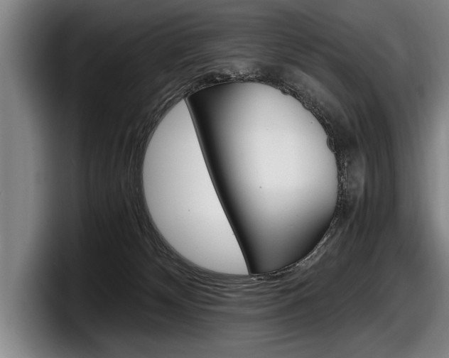 X0000098160132200804171226