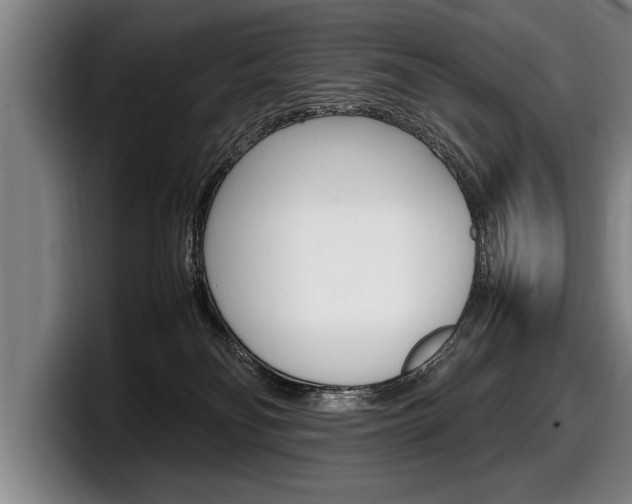 X0000098160134200804171226