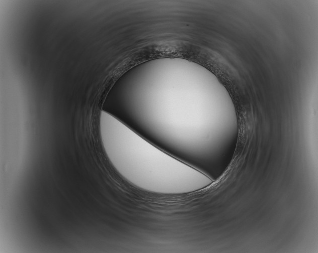 X0000098160136200804171226