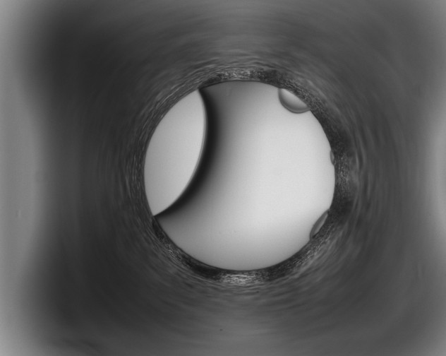 X0000098160139200804171226