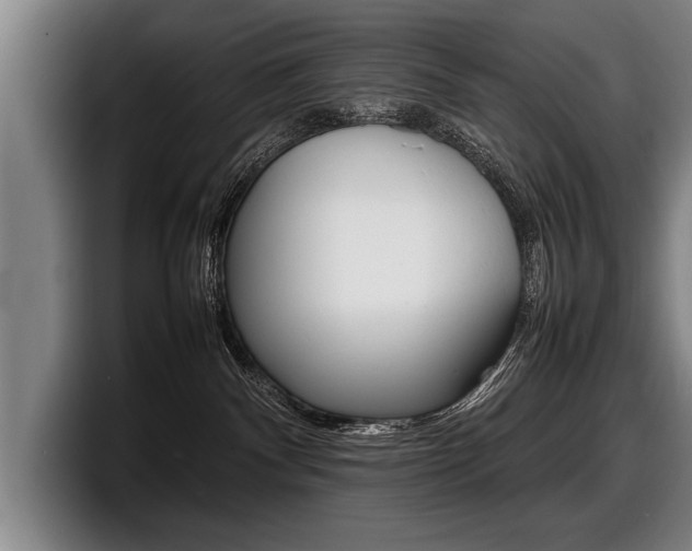 X0000098160140200804171226