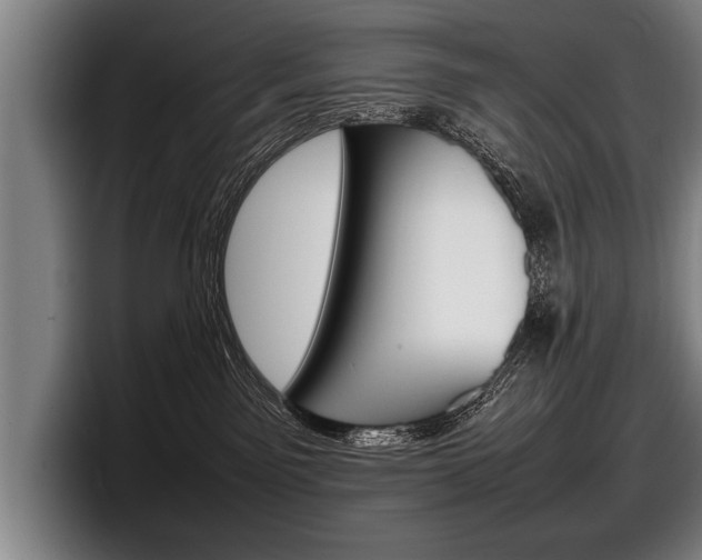 X0000098160141200804171226