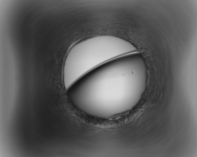 X0000098160144200804171226