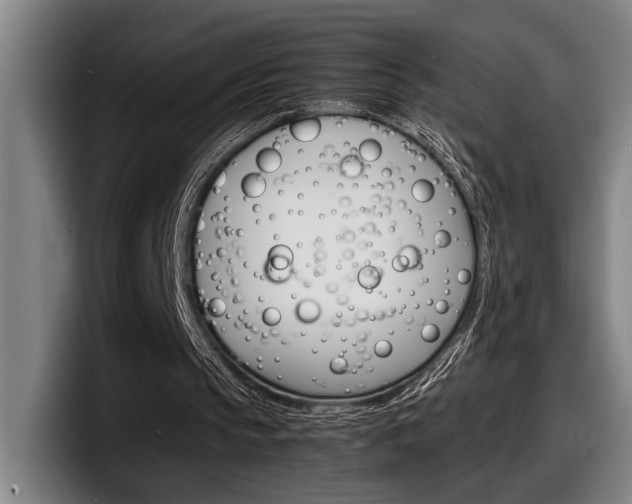 X0000098160145200804171225