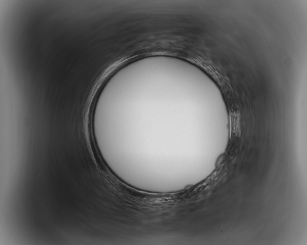 X0000098160147200804171225