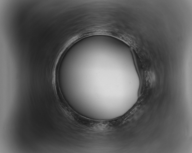 X0000098160148200804171225