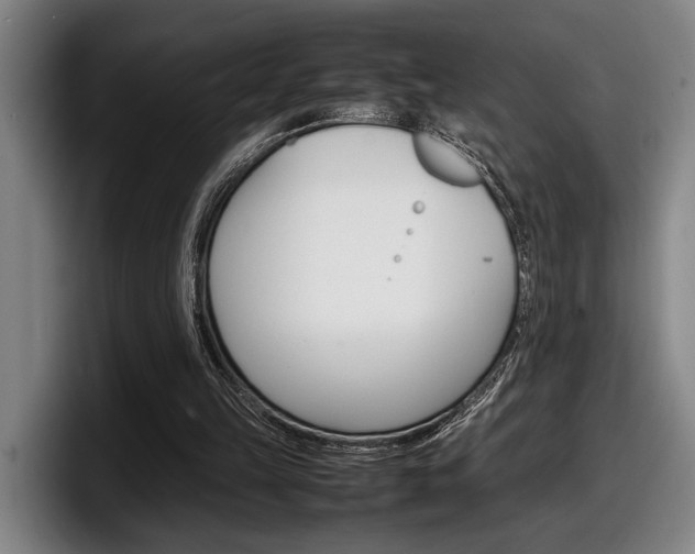 X0000098160149200804171225