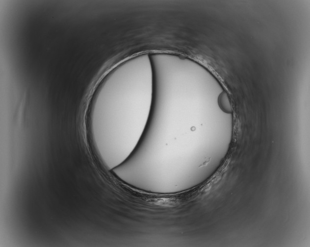 X0000098160151200804171225