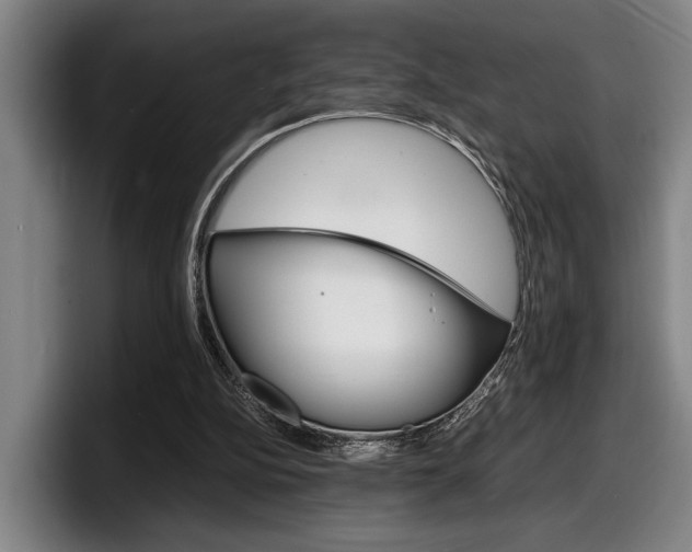X0000098160152200804171225