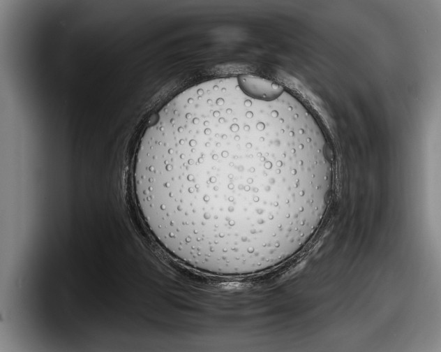X0000098160153200804171225