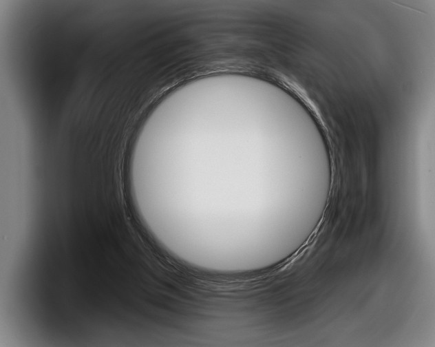 X0000098160154200804171225