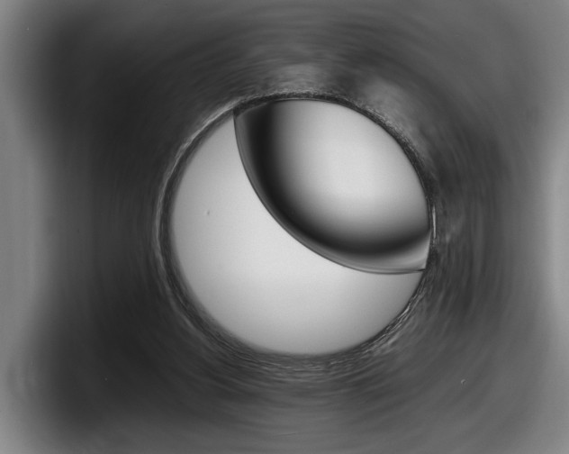 X0000098160156200804171225
