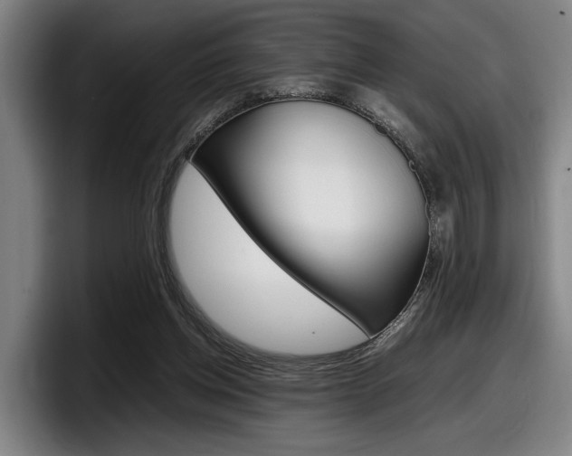 X0000098160158200804171225