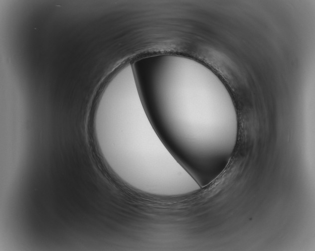 X0000098160160200804171225