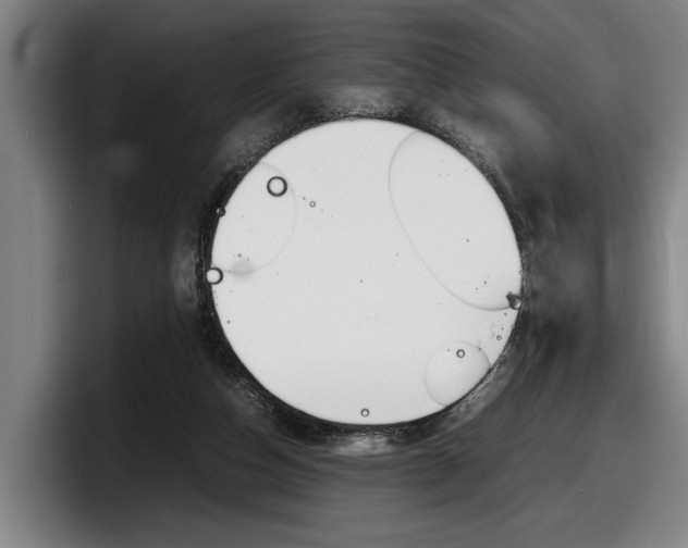 X0000098160162200804171225