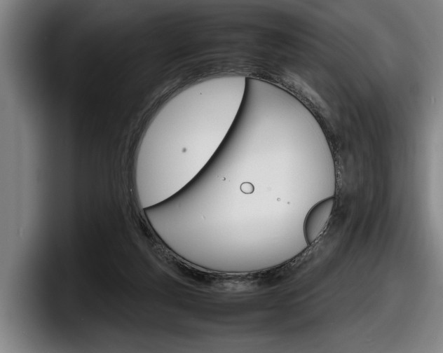 X0000098160163200804171225