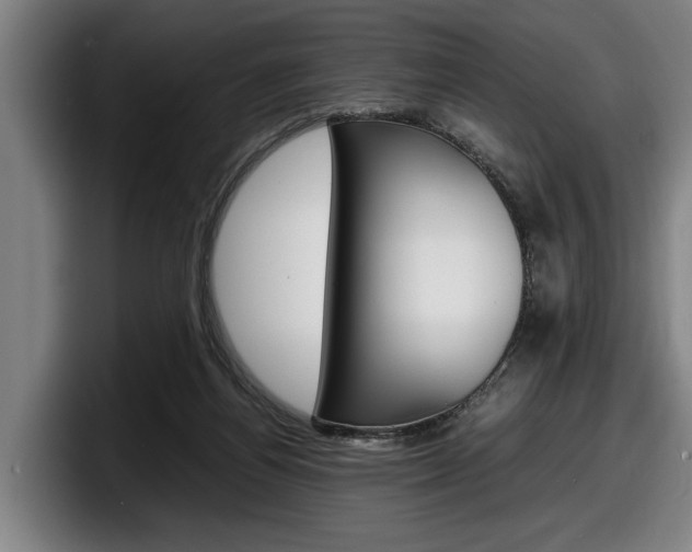 X0000098160164200804171225