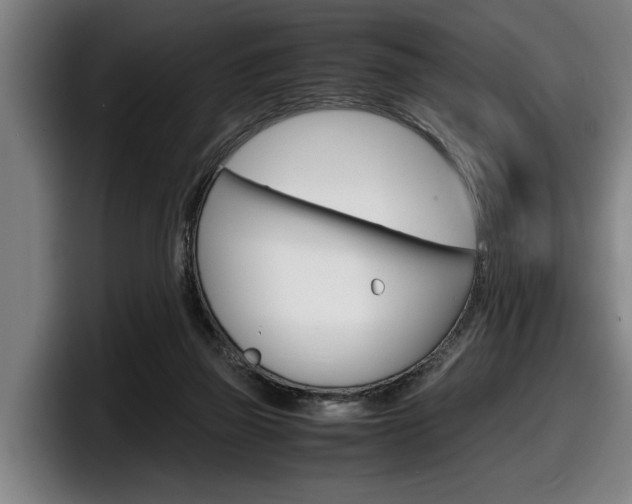 X0000098160165200804171225