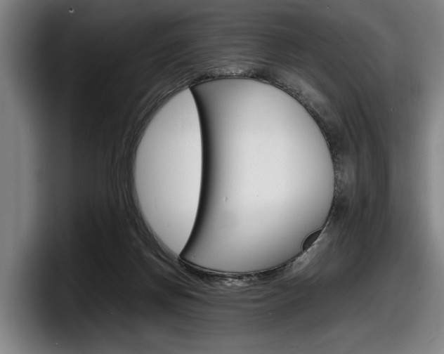 X0000098160166200804171225