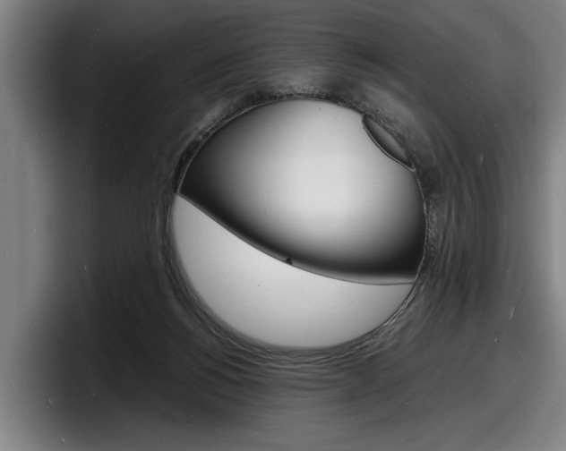 X0000098160168200804171225