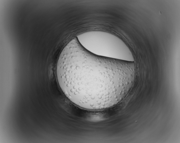 X0000098160169200804171225