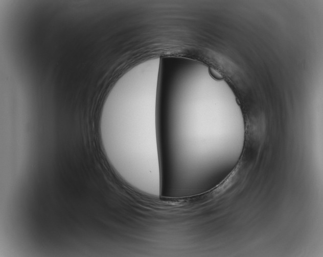 X0000098160170200804171225