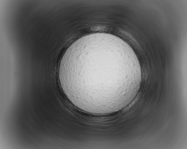 X0000098160171200804171225