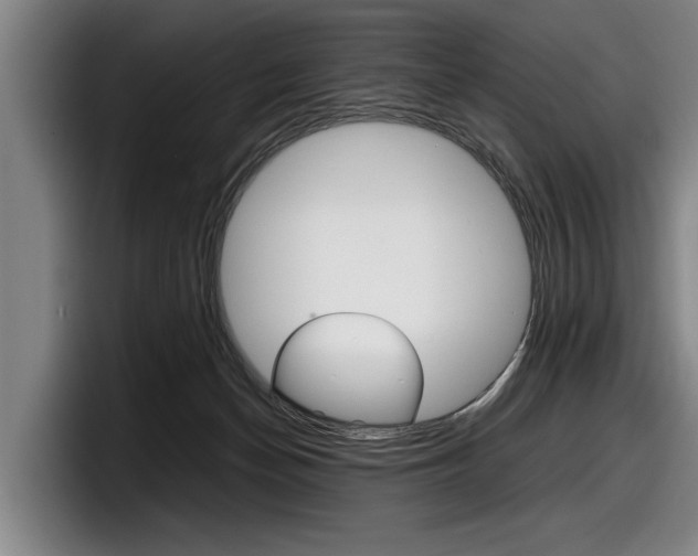 X0000098160174200804171225