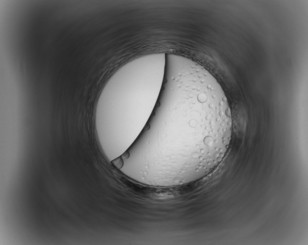 X0000098160175200804171225