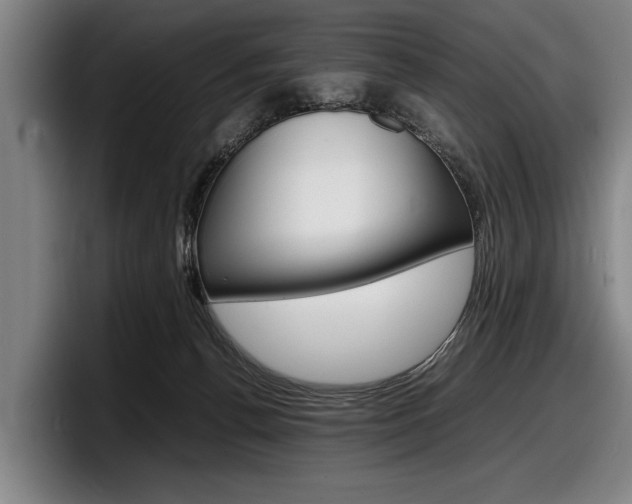 X0000098160176200804171225