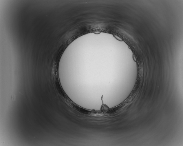 X0000098160181200804171226