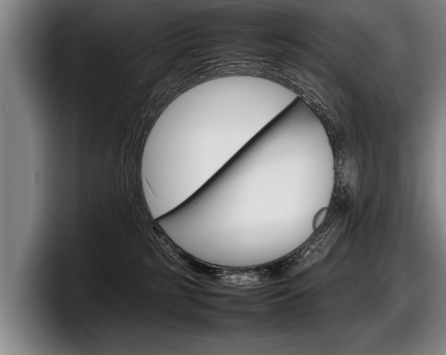 X0000098160185200804171226