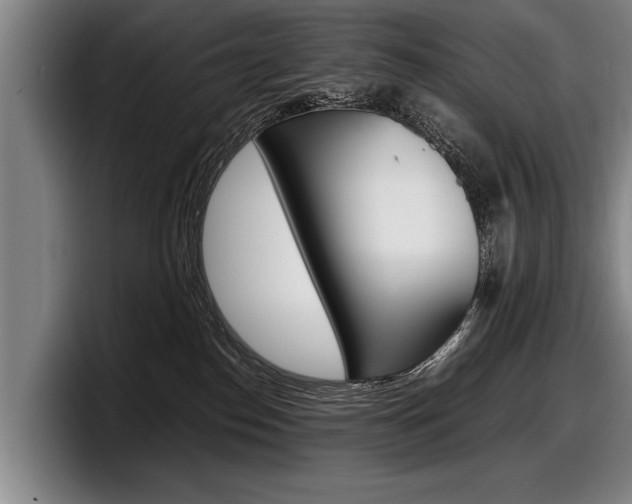 X0000098160186200804171226