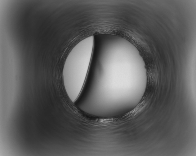 X0000098160188200804171226