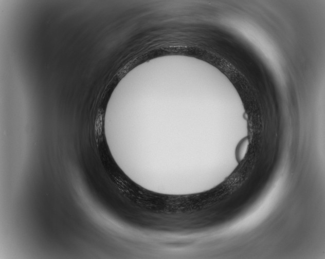 X0000098160190200804171226