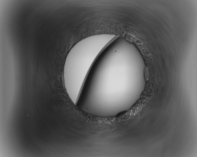 X0000098160192200804171226