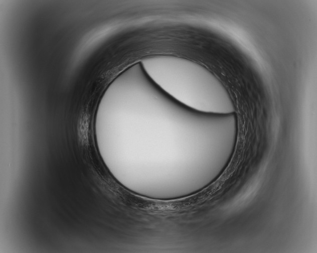X0000098160194200804171225