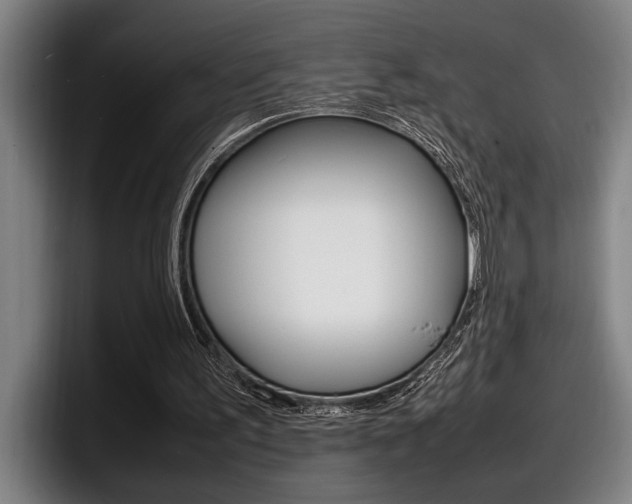 X0000098160195200804171225
