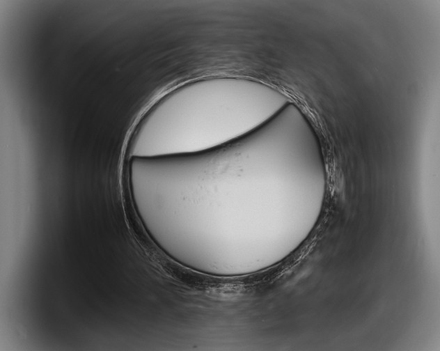X0000098160196200804171225