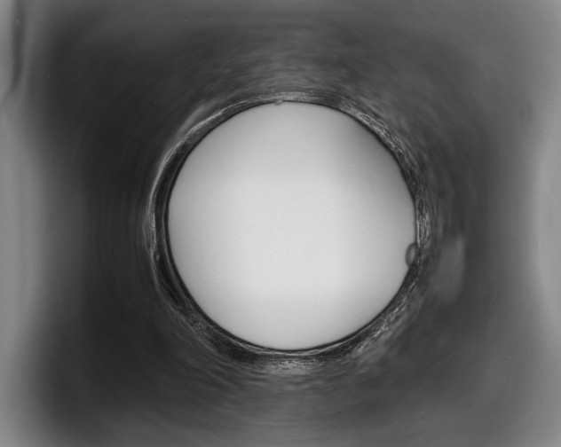 X0000098160198200804171225