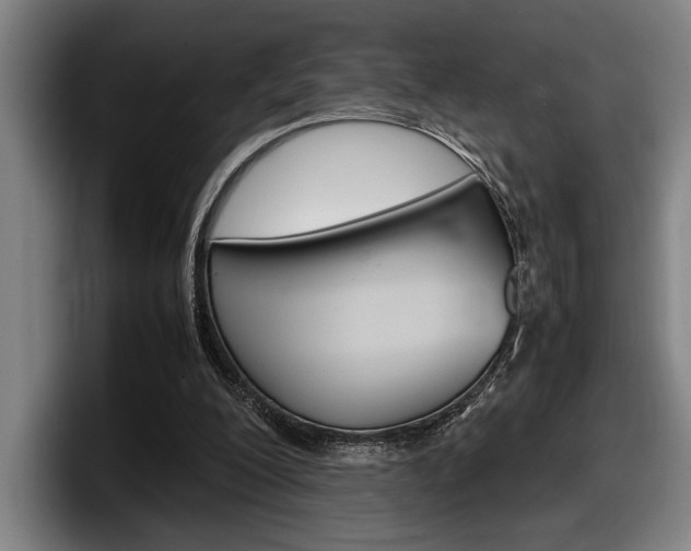 X0000098160200200804171225
