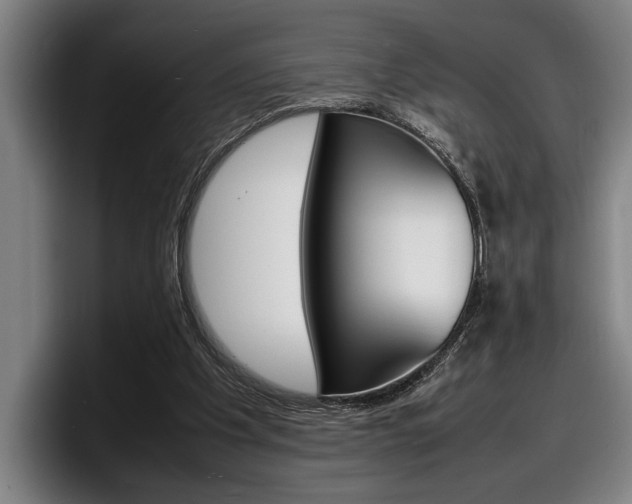 X0000098160201200804171225