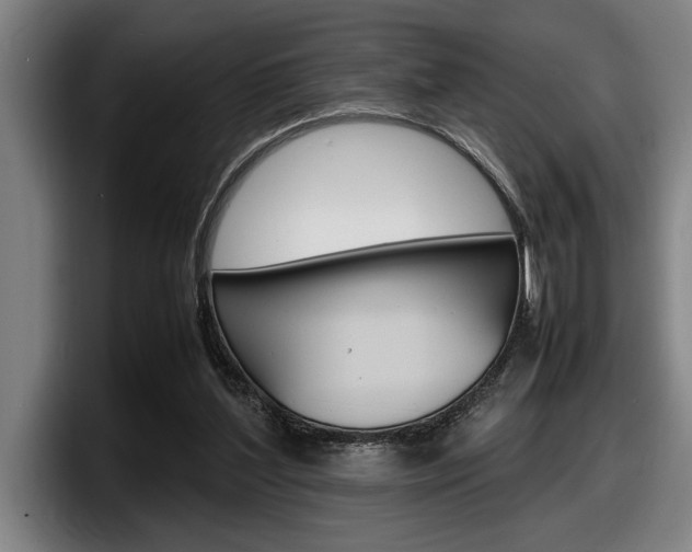 X0000098160204200804171225